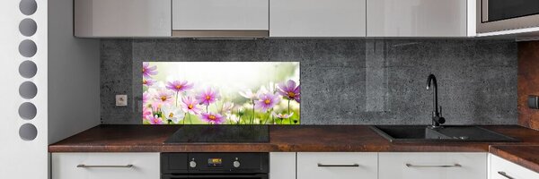 Panel do kuchyně Květiny na louce pksh-49015861