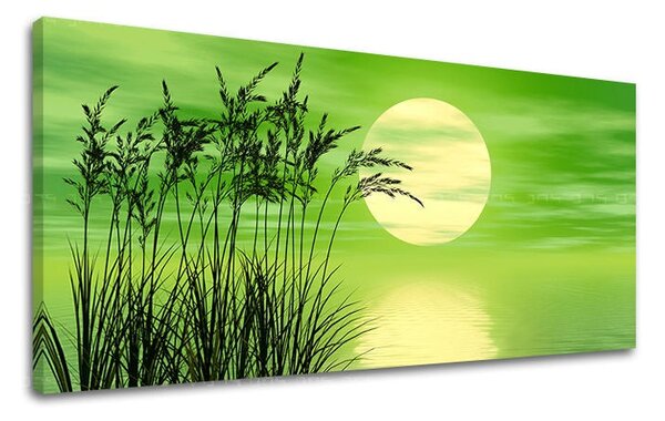 Obraz na stěnu PANORAMA ABSTRAKT - 30x60 cm