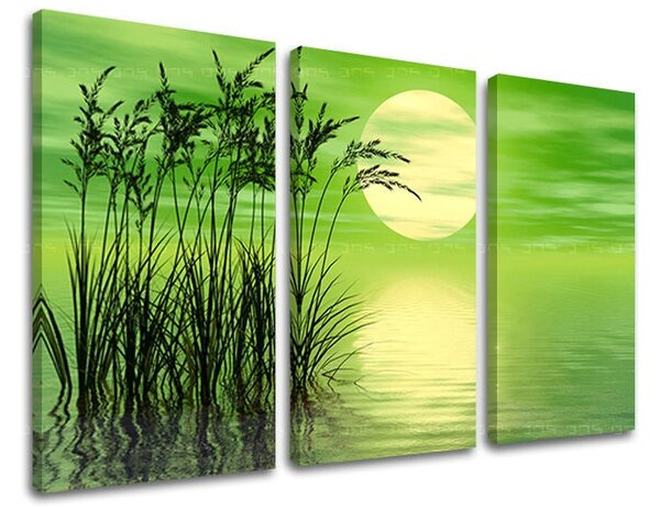 3dílný obraz na stěnu ABSTRAKT - 60x40 cm