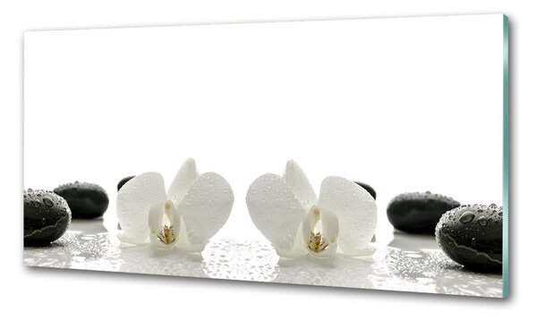 Skleněný panel do kuchynské linky Orchidej pksh-49248021