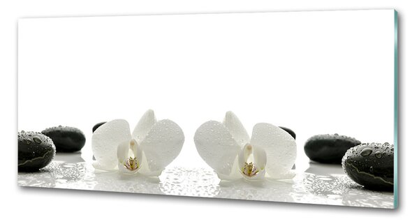 Skleněný panel do kuchynské linky Orchidej pksh-49248021