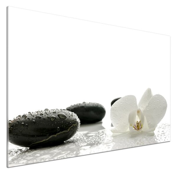 Skleněný panel do kuchynské linky Orchidej pksh-49248021