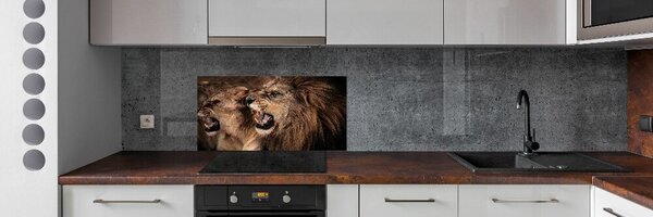 Dekorační panel sklo Řvoucí lvi pksh-49442251