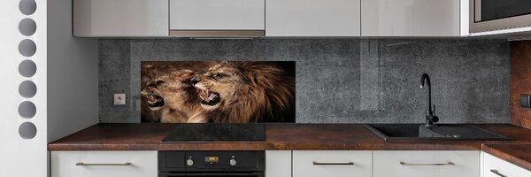 Dekorační panel sklo Řvoucí lvi pksh-49442251