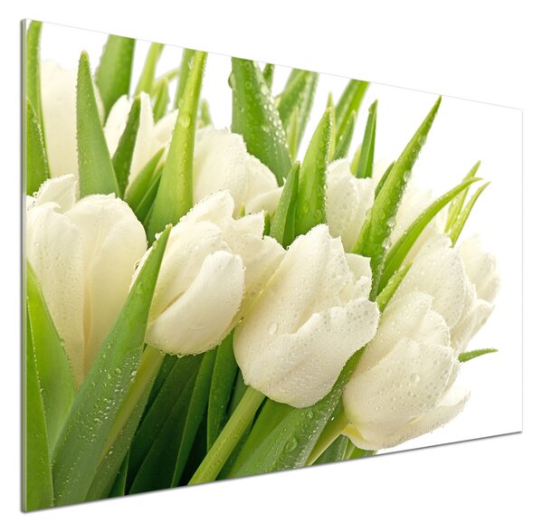 Panel do kuchyně Bílé tulipány pksh-49549577