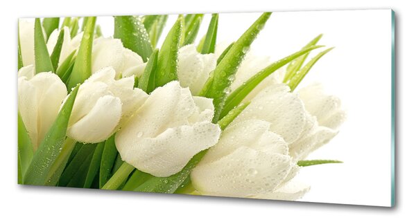 Panel do kuchyně Bílé tulipány pksh-49549577