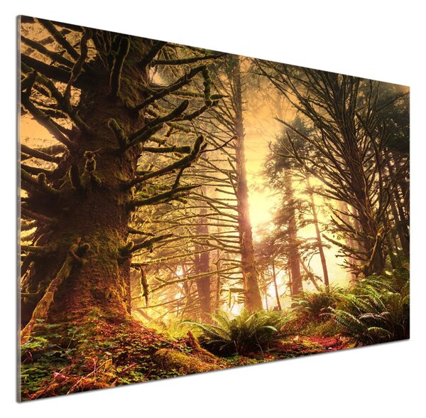 Panel do kuchyně Dešťový prales pksh-49624439