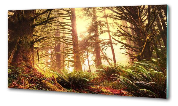 Panel do kuchyně Dešťový prales pksh-49624439