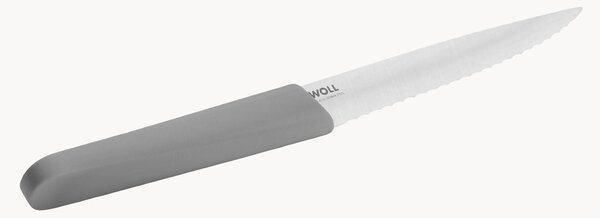 Nůž na steak z nerezové oceli Dove