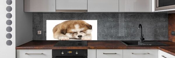 Panel do kuchyně Štěně Akita pksh-49805861