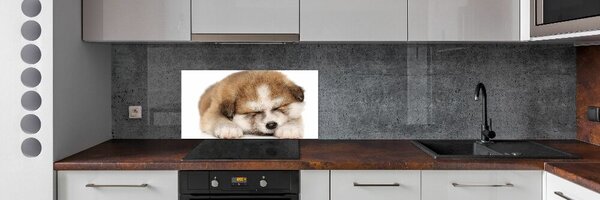 Panel do kuchyně Štěně Akita pksh-49805861