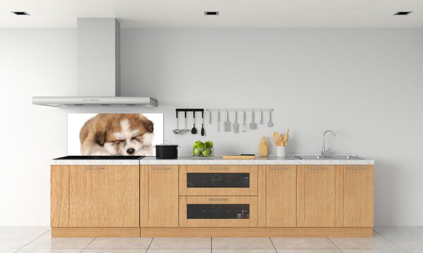 Panel do kuchyně Štěně Akita pksh-49805861