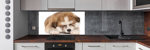 Panel do kuchyně Štěně Akita pksh-49805861