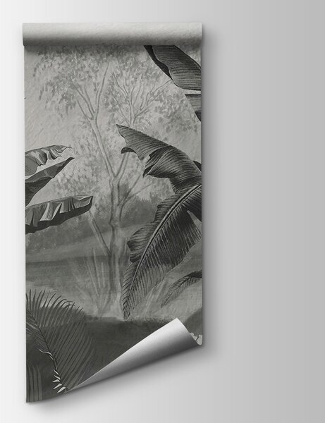 Fototapeta Černobílý snímek tropického lesa, Fototapety s džunglí, Populární fototapety, u94329 - Tapeko.co.cz