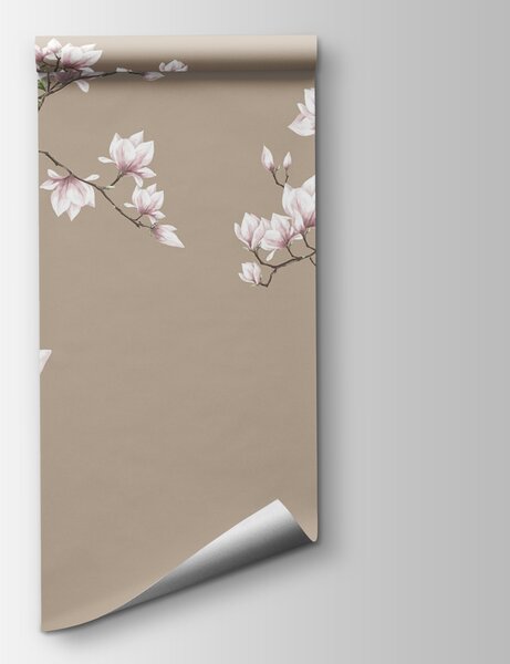 Fototapeta Skupina bílých květů na hnědém pozadí, Květinové fototapety, Populární fototapety, u94363 - Tapeko.co.cz
