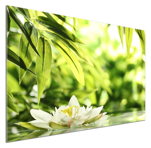 Dekorační panel sklo Vodní lilie pksh-51529189