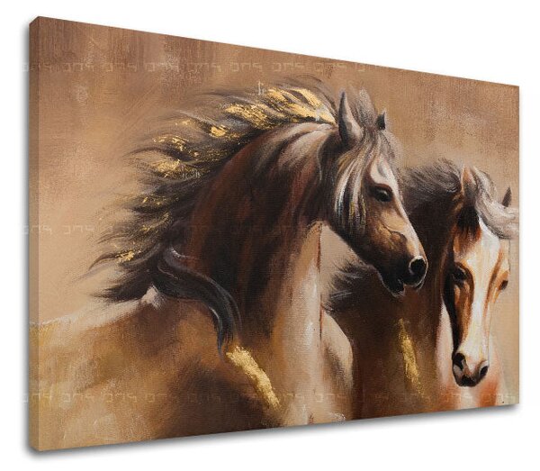 Obraz na plátně KONE 1 díl - 60x40 cm