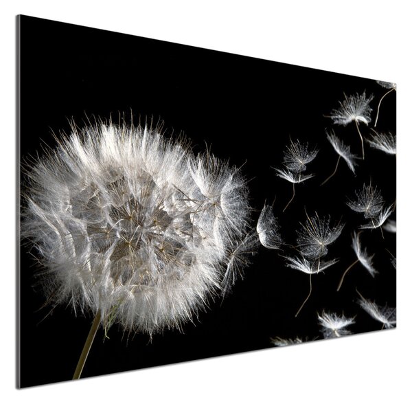 Dekorační panel sklo Pampeliška pksh-52170185