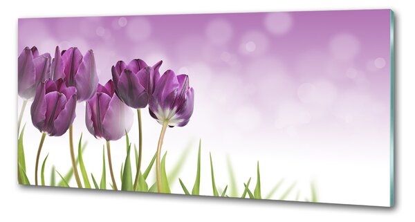 Panel do kuchyně Fialové tulipány pksh-52340543