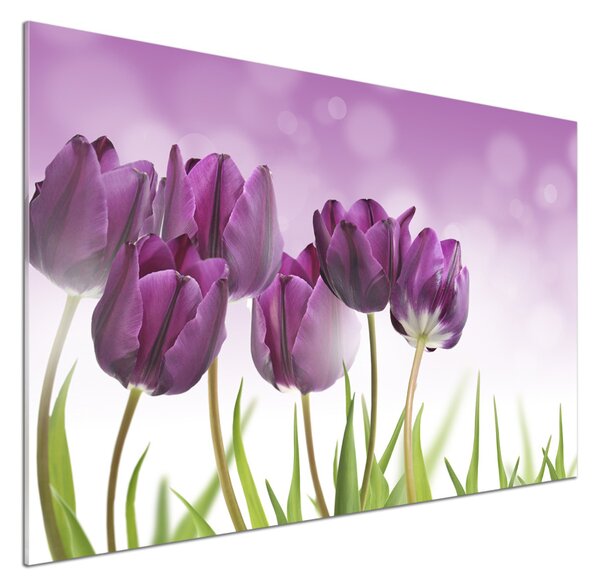 Panel do kuchyně Fialové tulipány pksh-52340543