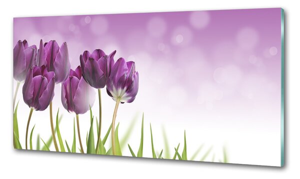 Panel do kuchyně Fialové tulipány pksh-52340543