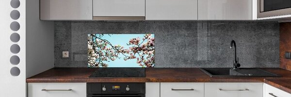 Panel do kuchyně Květiny magnolie pksh-52445180