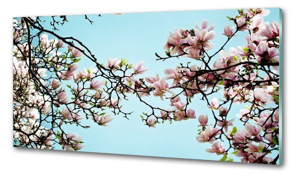 Panel do kuchyně Květiny magnolie pksh-52445180
