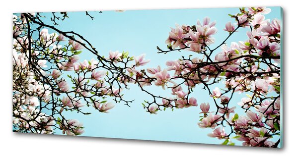 Panel do kuchyně Květiny magnolie pksh-52445180