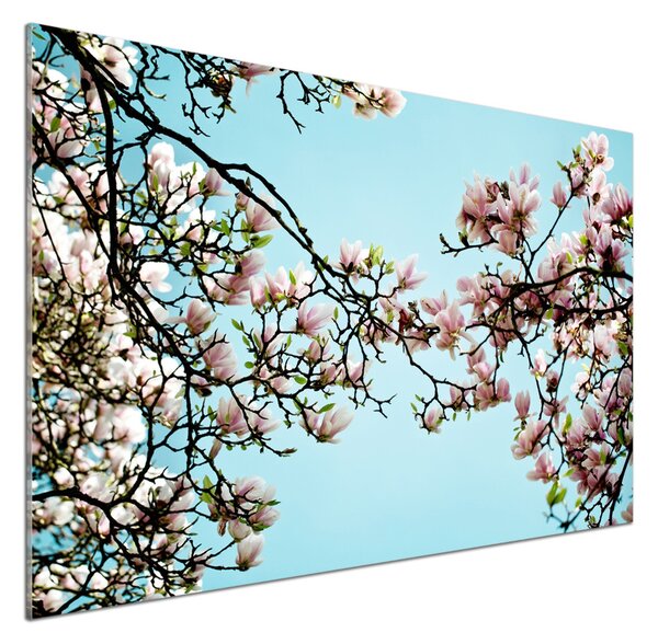 Panel do kuchyně Květiny magnolie pksh-52445180