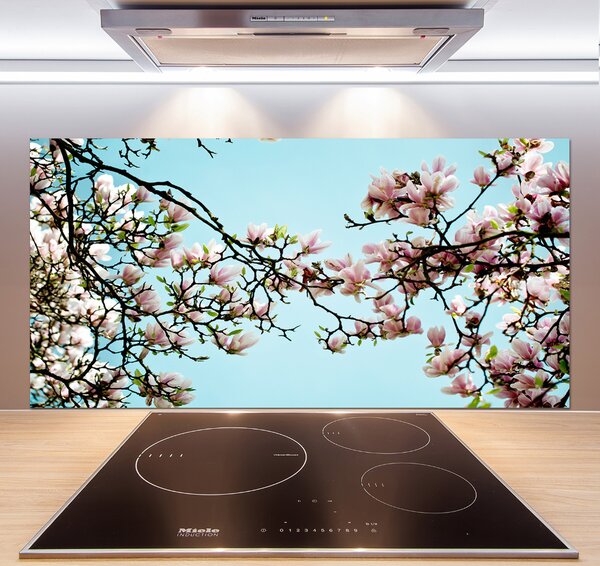 Panel do kuchyně Květiny magnolie pksh-52445180