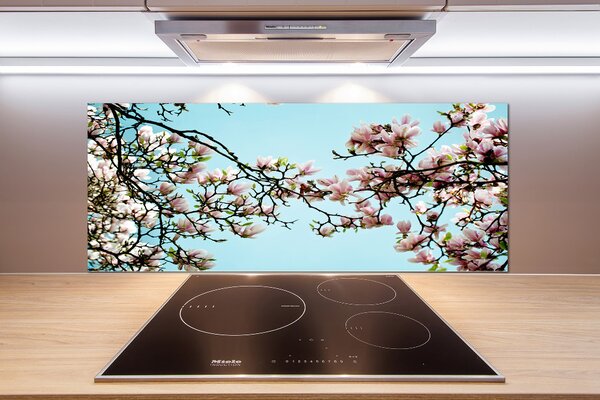 Panel do kuchyně Květiny magnolie pksh-52445180