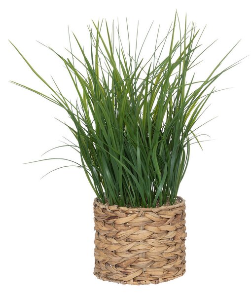 Umělá tráva v květináči s vodního hyacintu, výš, 70 cm