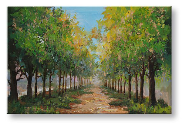 Obraz na plátně STROMY 1 díl - 80x40 cm