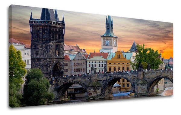 Obraz na stěnu Panorama města Prahy - 30x60 cm