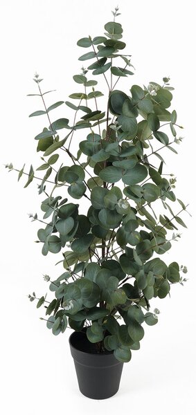 Umělý eukalyptus v květináči EDEN, 78 cm