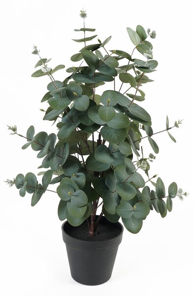 Umělý eukalyptus v květináči EDEN, 54 cm