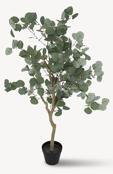 Umělá rostlina eukalyptus, 127 cm