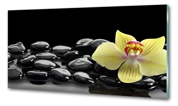 Skleněný panel do kuchynské linky Orchidej pksh-53476359