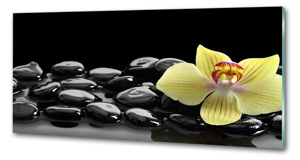 Skleněný panel do kuchynské linky Orchidej pksh-53476359
