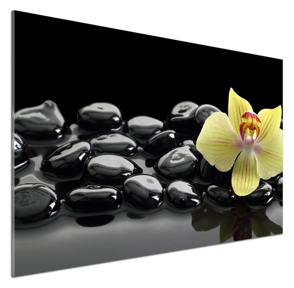 Skleněný panel do kuchynské linky Orchidej pksh-53476359