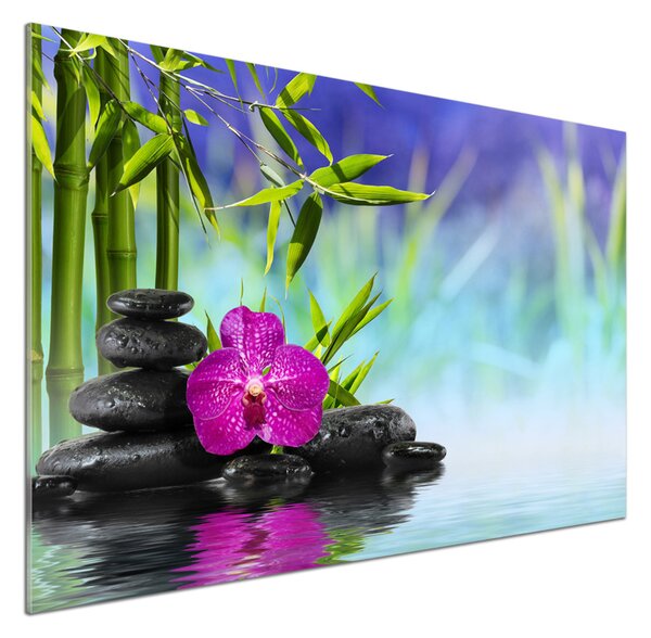 Panel do kuchyně Orchidej bambus pksh-54557063