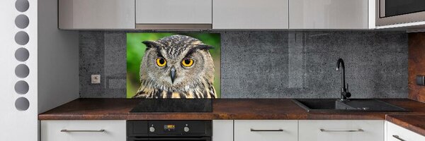 Skleněný panel do kuchyně Sova pksh-54839625