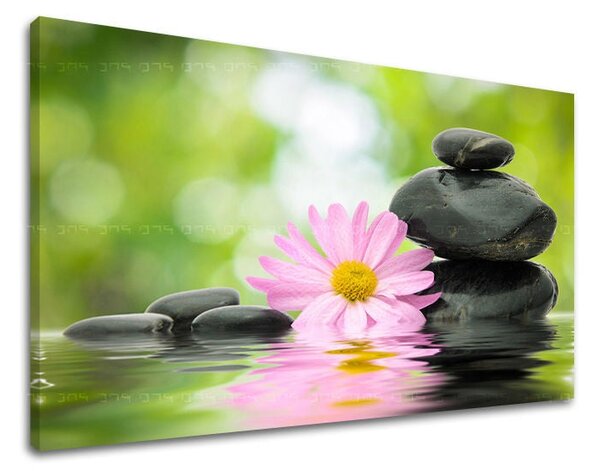 Obraz na stěnu FENG SHUI - 20x30 cm