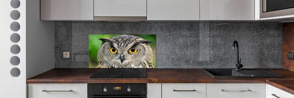Skleněný panel do kuchyně Sova pksh-54839625