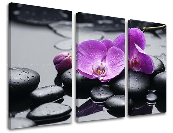 3dílný obraz na stěnu FENG SHUI - 60x40 cm