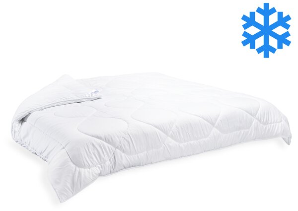 Přikrývka Thermo 220x200cm celoroční 1760g (400g/m2)