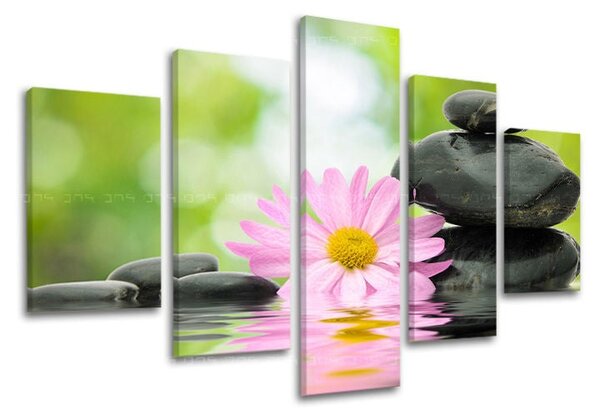 5dílný obraz na stěnu FENG SHUI - 100x80 cm