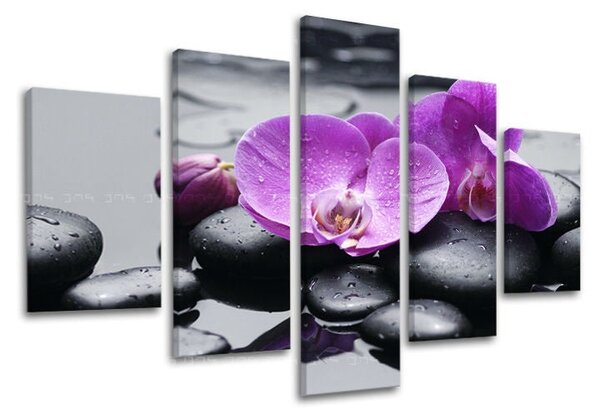 5dílný obraz na stěnu FENG SHUI - 100x80 cm