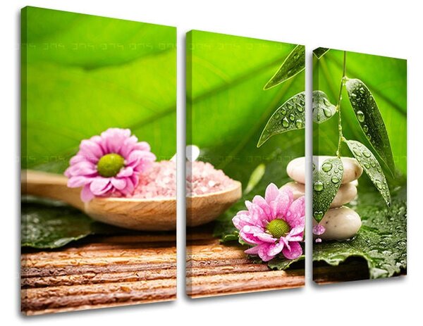 3dílný obraz na stěnu FENG SHUI - 60x40 cm