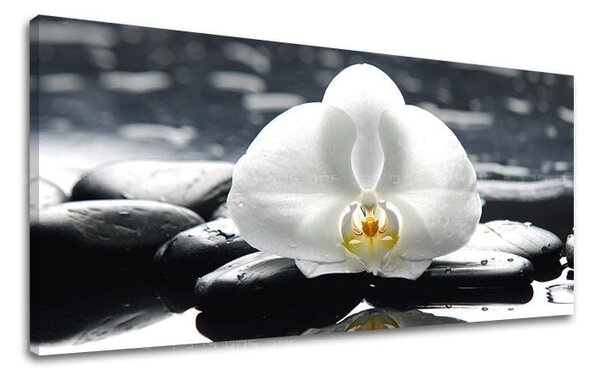 Obraz na stěnu PANORAMA FENG SHUI - 30x60 cm
